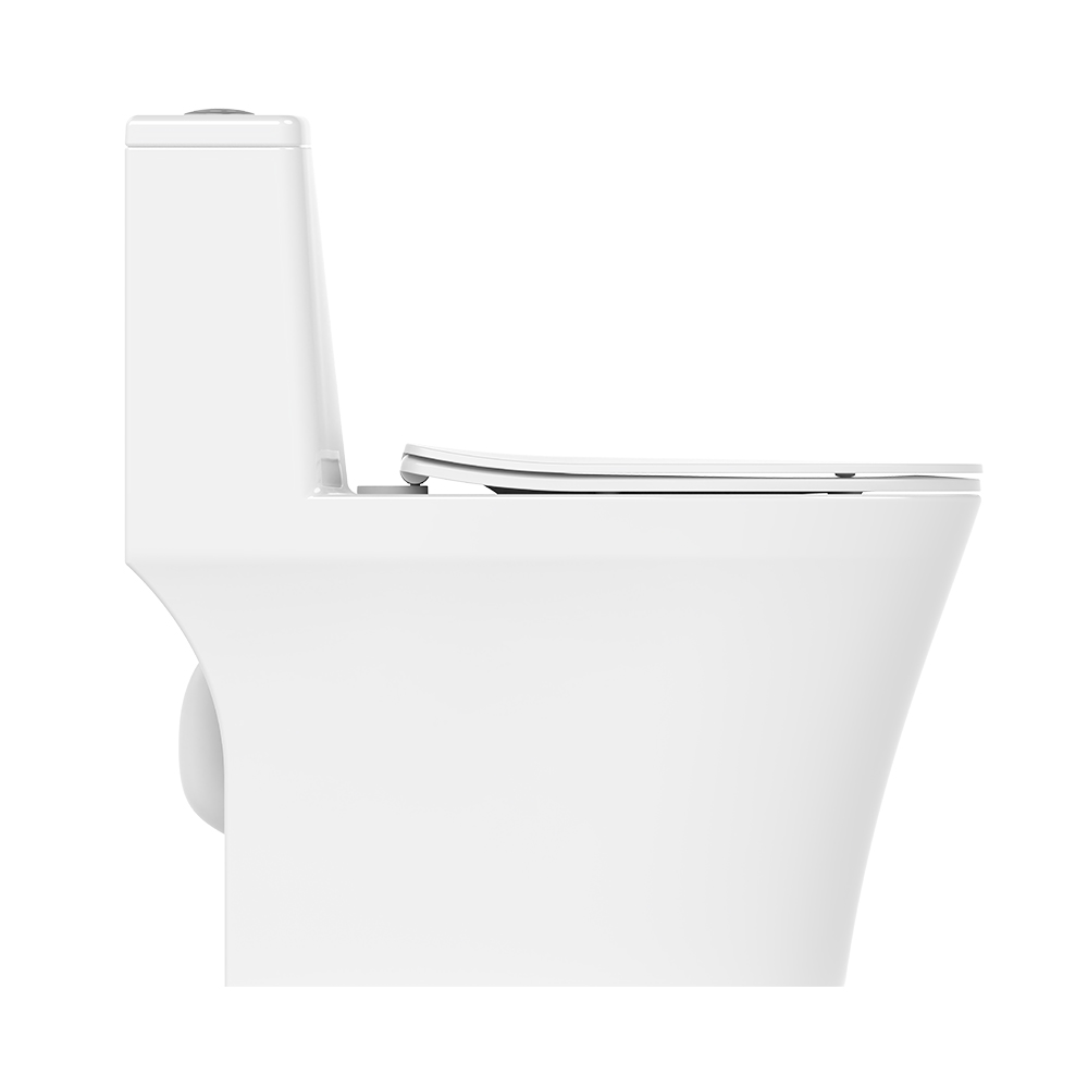 超旋風(fēng)360°D3坐便器